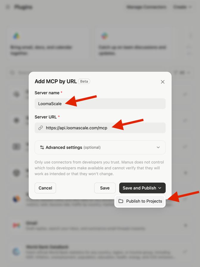 Manus Add MCP by URL dialog with LoomaScale, https://api.loomascale.com/mcp and Publish to Projects selected