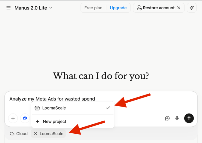 Manus task composer with the LoomaScale project selected and the prompt Analyze my Meta Ads for wasted spend