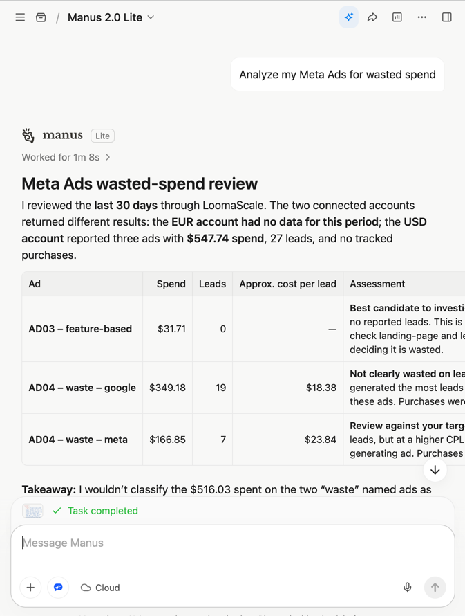 Manus Meta Ads wasted-spend review through LoomaScale showing 27 leads, no tracked purchases and another account with no data
